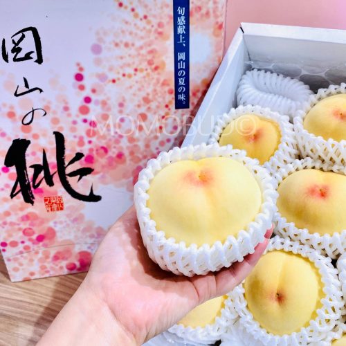 Japanese Sakigake Hakutou White Peach Gift Box Kg Momobud