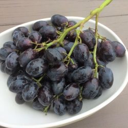 Black Seedless Grapes