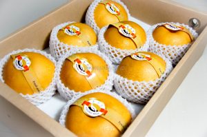 Korean Singo Pear