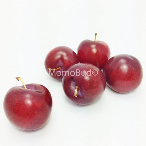 Cherry Plum