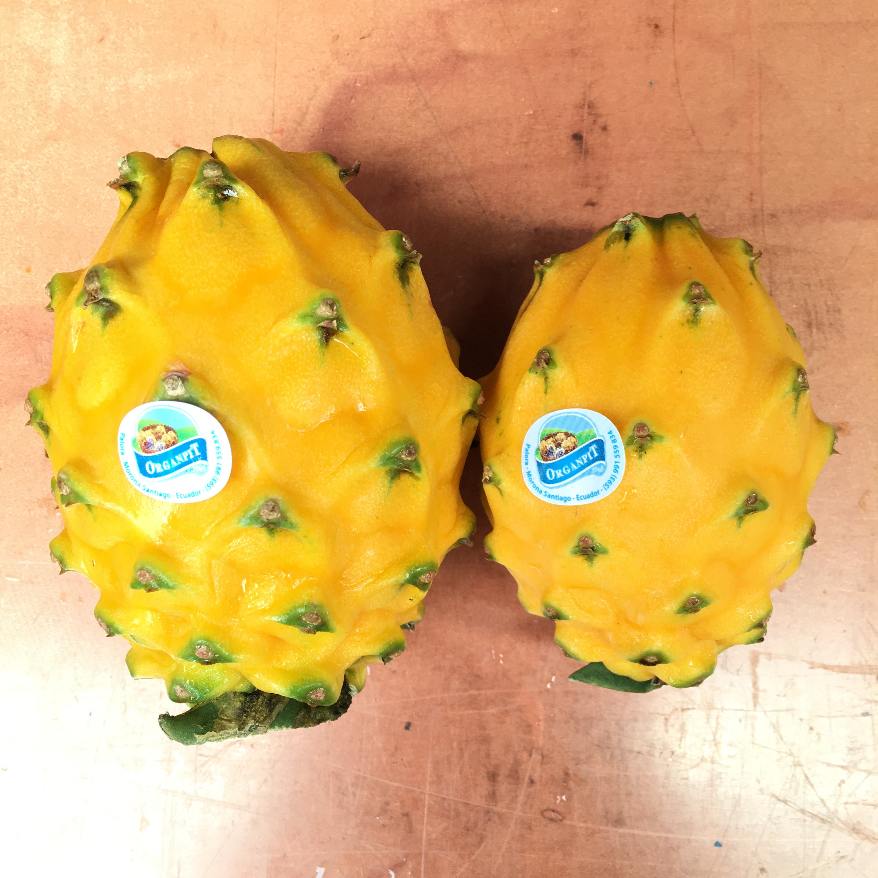 Pitahaya, Yellow Dragonfruit — MomoBud