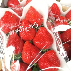 Amaou Strawberry