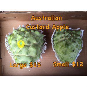 Australian Custard Apples