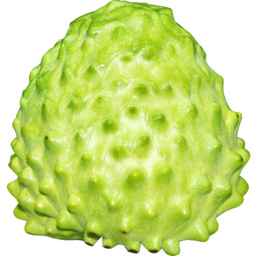 Custard Apple