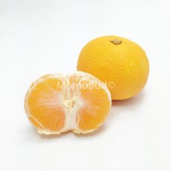 Citrus Unshiu (Seedless)