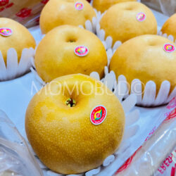 China DH Nan Shui Pear