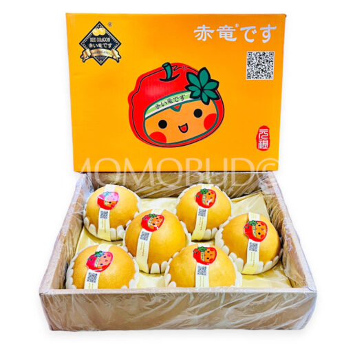 China Red Dragon Nan Shui Pear Box China Red Dragon Nan Shui Pear Box