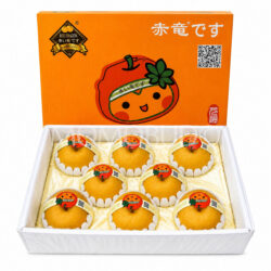 China Red Dragon Nan Shui Pear Box