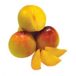 Amber Jewel Dinosaur egg