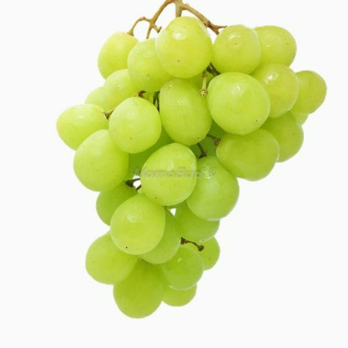 Green Seedless Table Grape