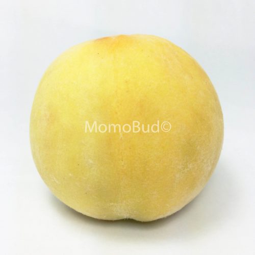 Australian Yellow Peach Australian Yellow Peach