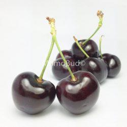 Red Cherry