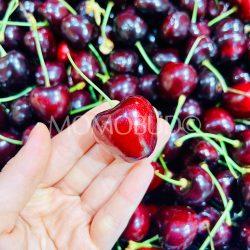 Tasmanian Reid Kordia Red Cherry