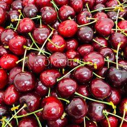 Tasmanian Reid Red Cherry