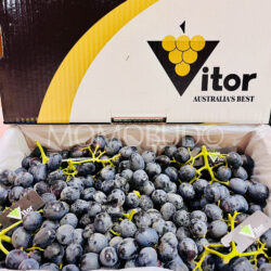 Australian Vitor Midnight Beauty Black Seedless Grapes Box (4.5kg)