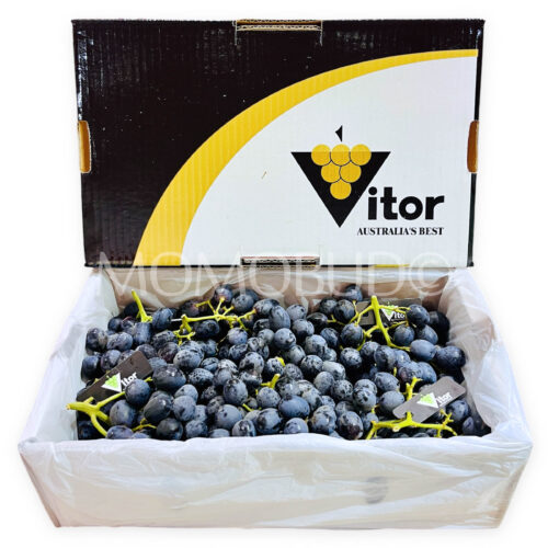 Australian Vitor Midnight Beauty Black Seedless Grapes Box (4.5kg)