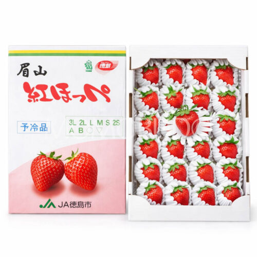Japanese Jumbo Bizan Beni Hoppe Strawberry Gift Box (1kg)