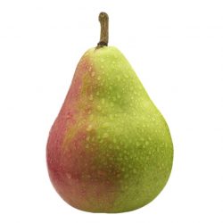 Paradise Pear