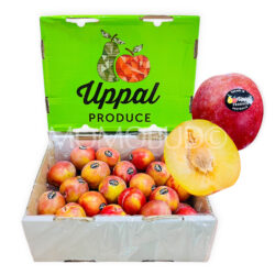 Australian October Sun Plum Box (5kg)