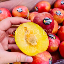 Australian October Sun Plum cross section