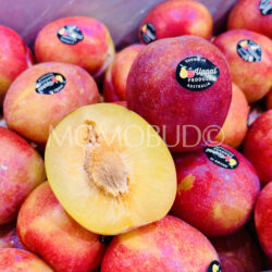 Australian October Sun Plum cross section