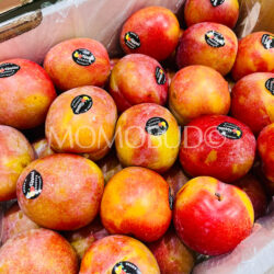 Australian October Sun Plums