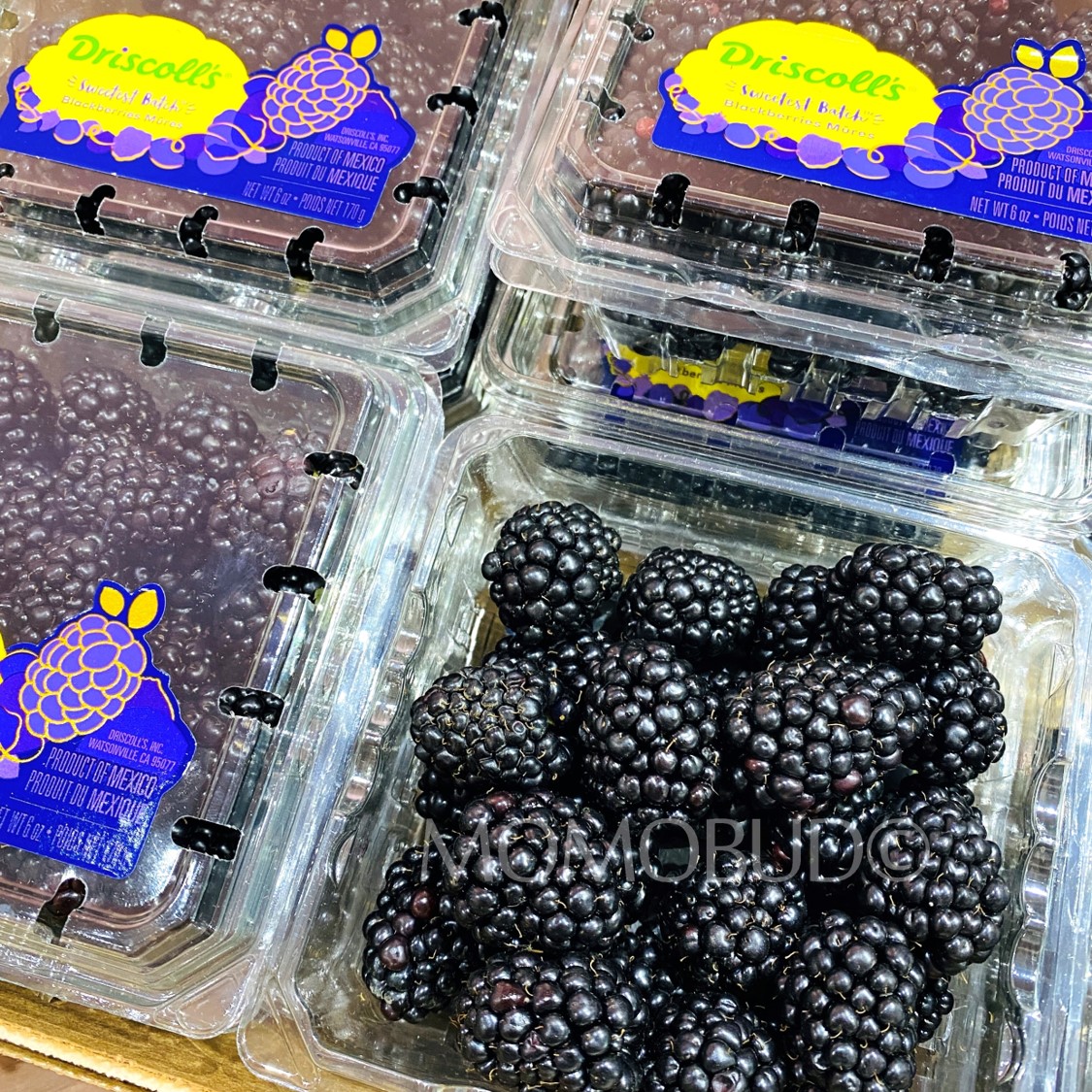 Driscoll's Sweetest Batch Blackberry (170g — MomoBud