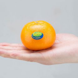 Jaffa Orri Mandarin Orange Fresh