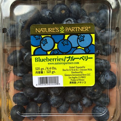 Mexican Blueberry