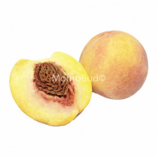 Yellow Peach Yellow Peach