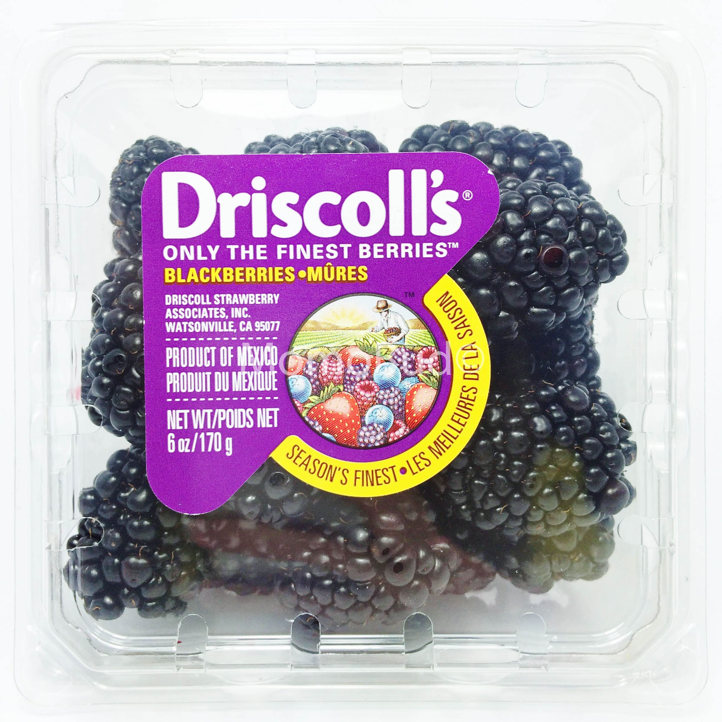 driscoll-s-blackberry-momobud