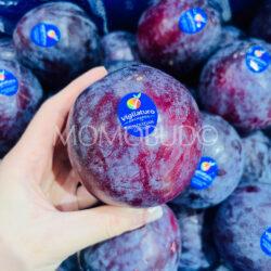 Australian Jumbo Flavor Fall Pluot