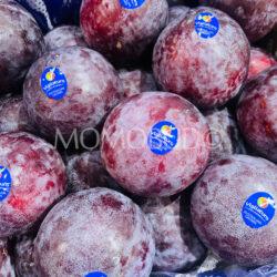 Australian Jumbo Flavor Fall Pluots
