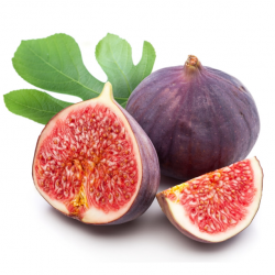 Fig