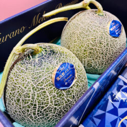 Japanese Hokkaido Premium Furano Red Muskmelons 2 Japanese Hokkaido Premium Furano Red Muskmelons 2