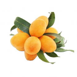 Marian Plum (Plum Mango)