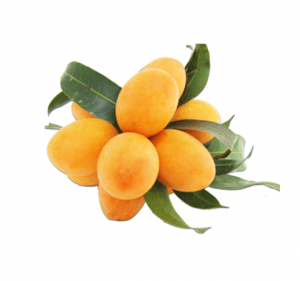 Marian Plum (Plum Mango)