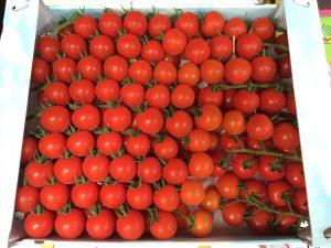 Cherry Tomatoes (On Vine) 3kg Box