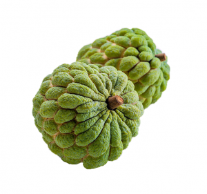 Taiwan Custard Apple