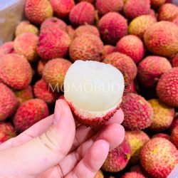 Australian Fei Zi Xiao Lychee flesh