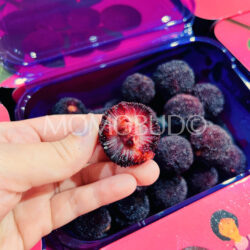 Black Chinese Bayberry cross section Black Chinese Bayberry cross section