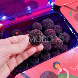 Black Chinese Bayberry on hand Black Chinese Bayberry on hand