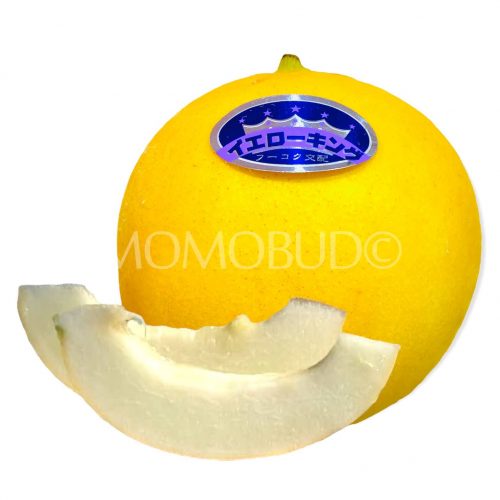 Japanese Yellow King Melon