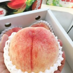 Nikkawa Hakuho Finest Peach