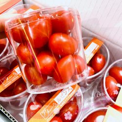 Photo 11-4-20, 9 08 27 PM