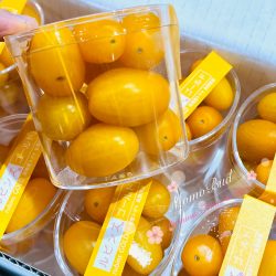 Photo 11-4-20, 9 08 40 PM