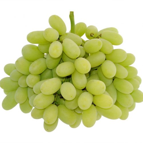 Pristine Blanc Green Seedless Grapes