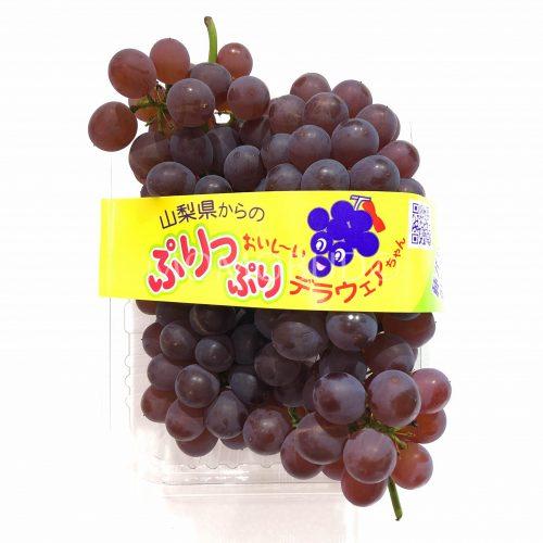 yamanashi-delaware-grapes