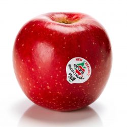 New Zealand Pacific Rose Apple