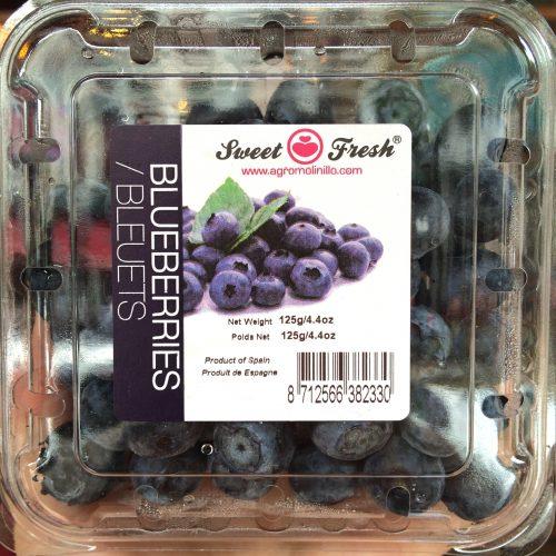 Spain Sweet Fresh Blueberry